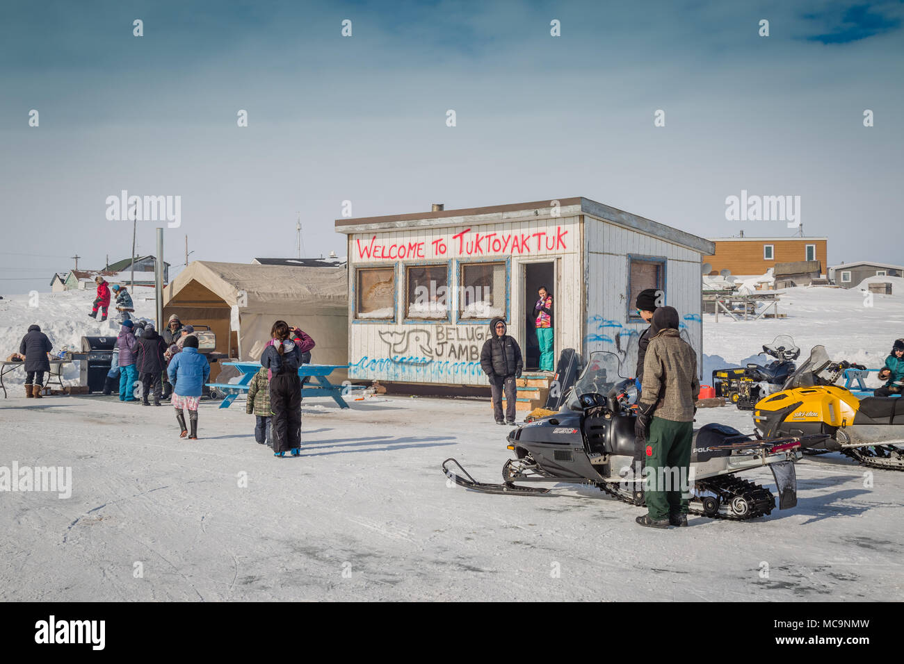 Les gens avec des motoneiges qui apprécient le Beluga Jamboree, le festival de printemps en plein air dans le hameau arctique de Tuktoyaktuk, Territoires du Nord-Ouest, Canada. Banque D'Images