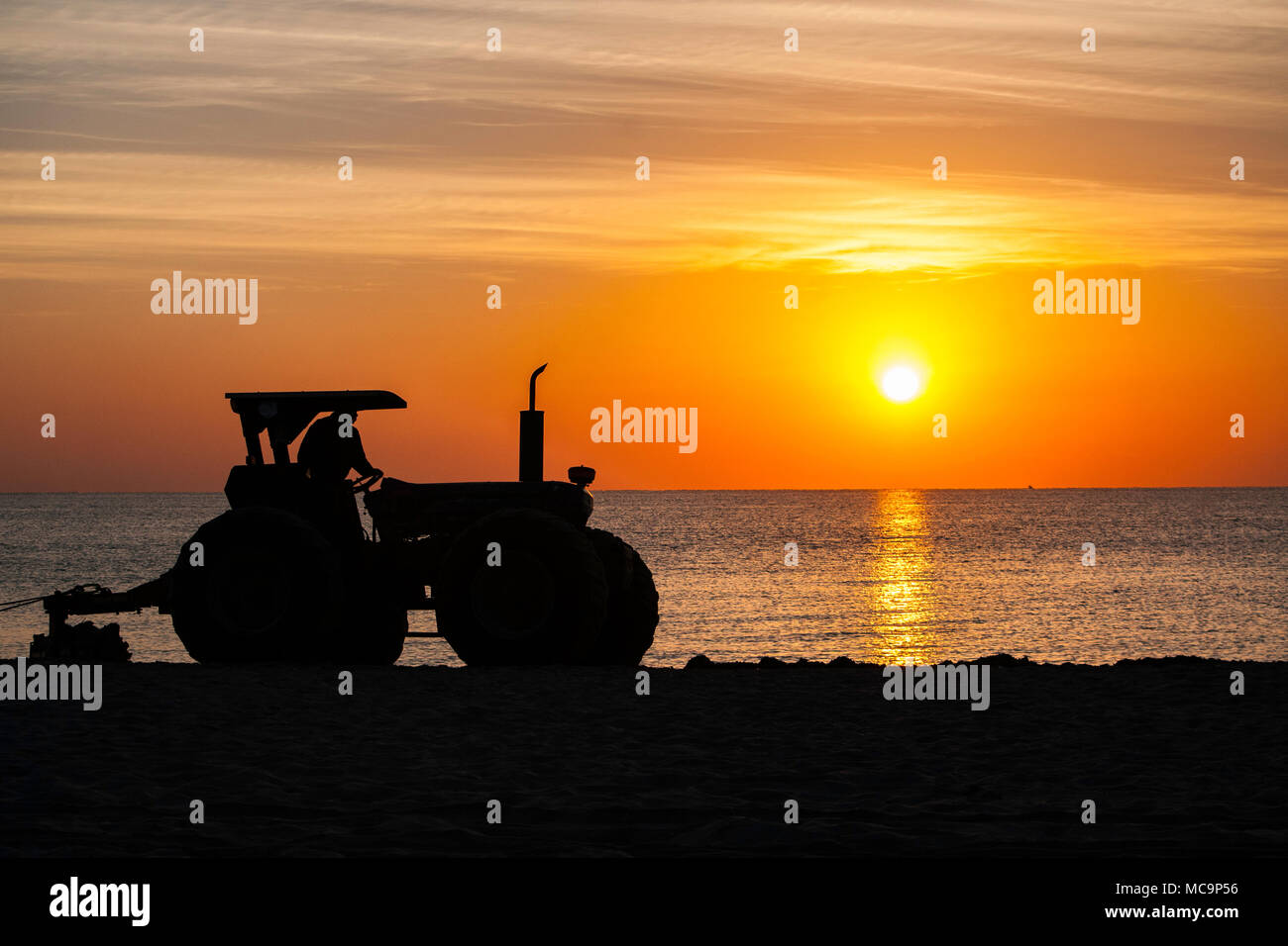 Un tracteur est découpé sur le lever tôt le matin car elle efface la plage de sable d'algues apportés par la marée haute à Hollywood, en Floride. Banque D'Images