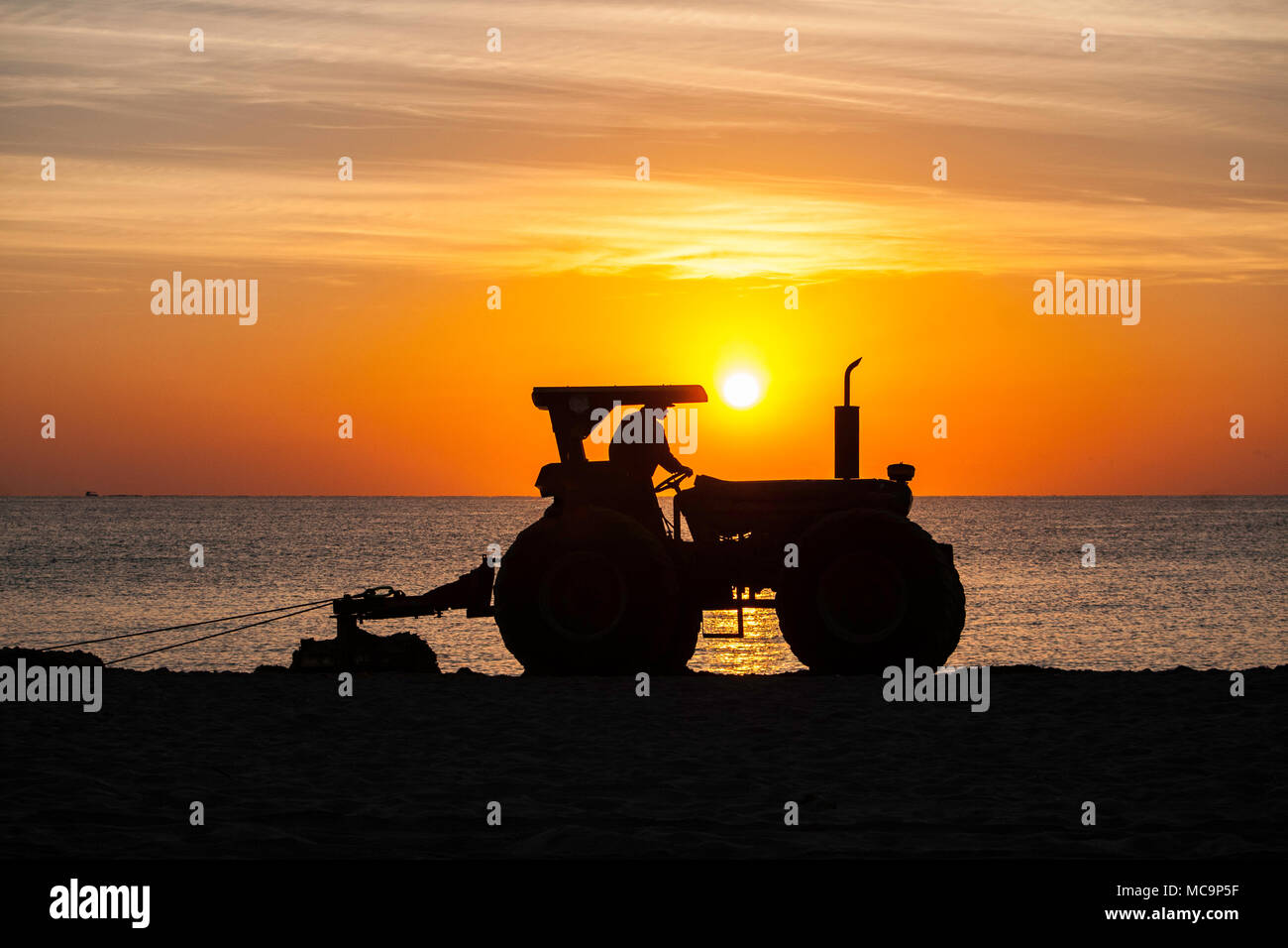 Un tracteur est découpé sur le lever tôt le matin car elle efface la plage de sable d'algues apportés par la marée haute à Hollywood, en Floride. Banque D'Images