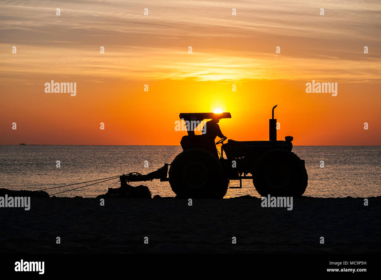 Un tracteur est découpé sur le lever tôt le matin car elle efface la plage de sable d'algues apportés par la marée haute à Hollywood, en Floride. Banque D'Images
