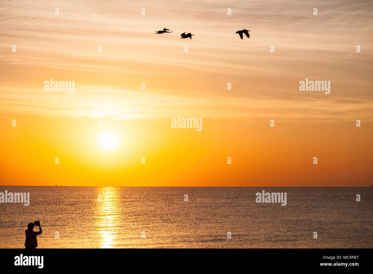Une femme silhouettée prend des photos du soleil doré coloré à une plage de Floride Banque D'Images
