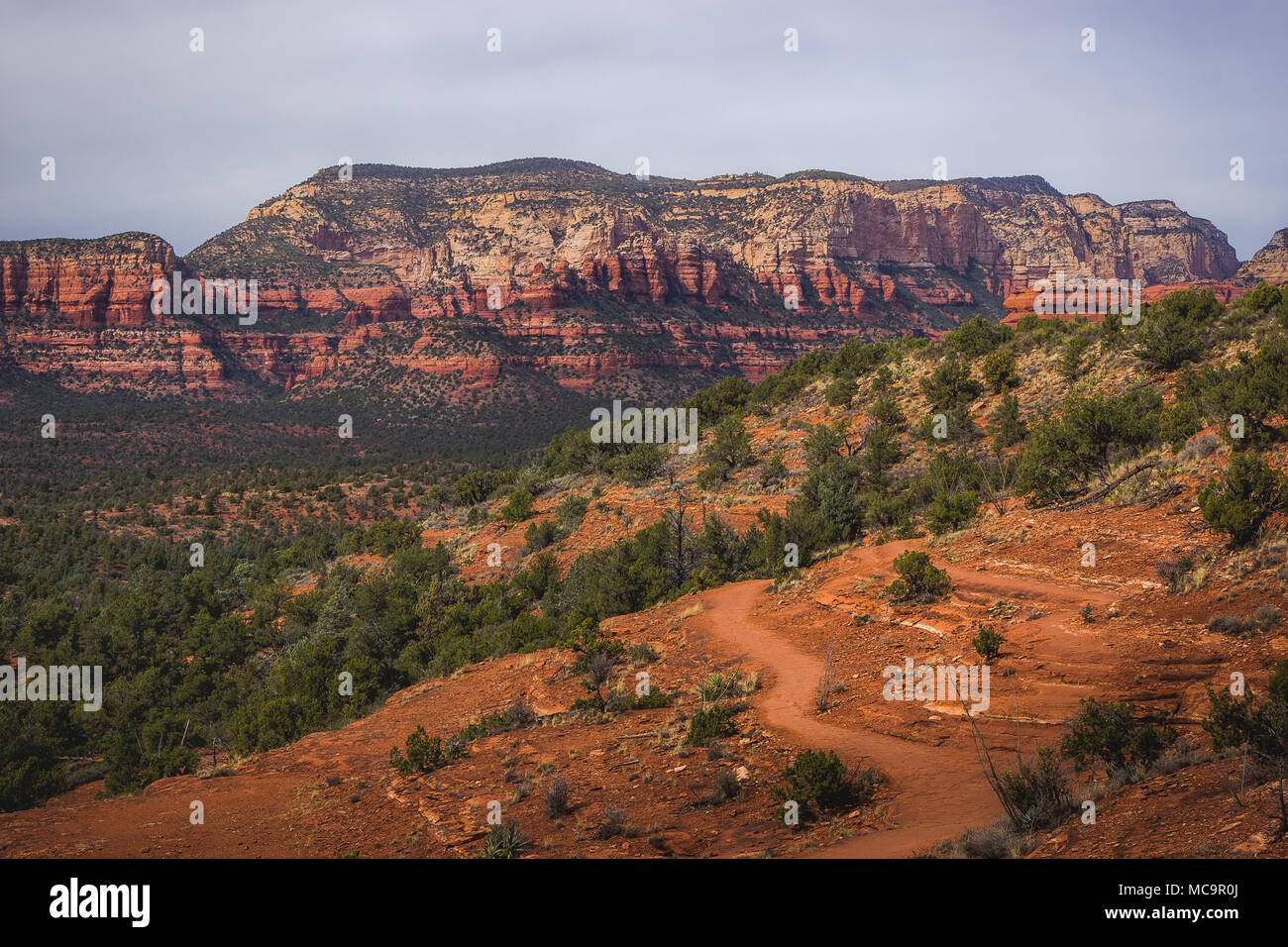Vue panoramique sur Chuck Wagon Trail avec La Montagne Secrète et diverses formations de roche rouge dans la distance, Sedona, Arizona Banque D'Images