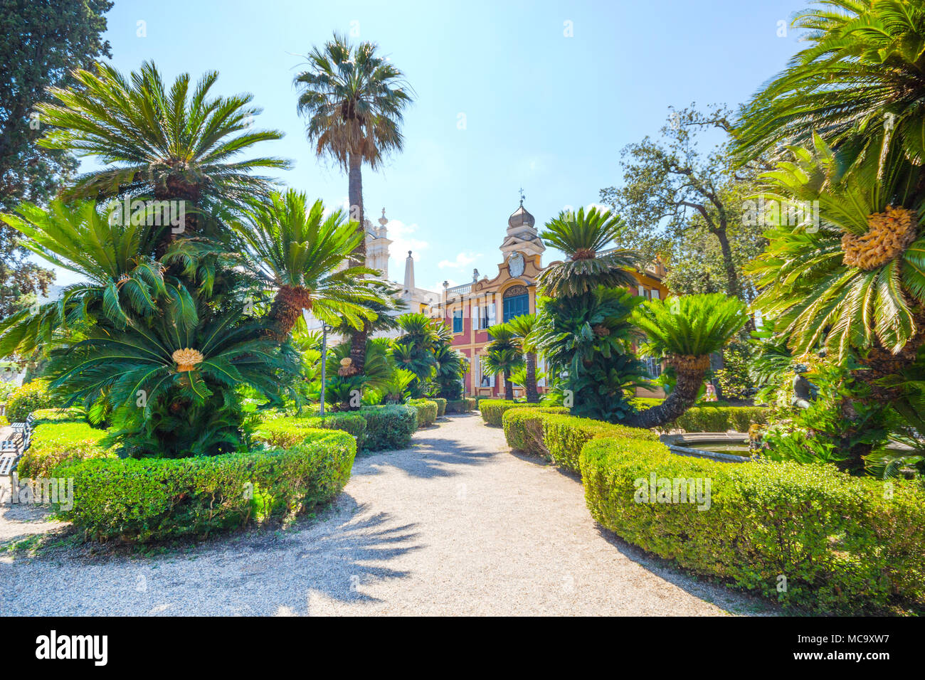 Paysage de la villa du parc,jardin en été, Santa Margherita Ligure. Gênes, Italie park villa. Banque D'Images