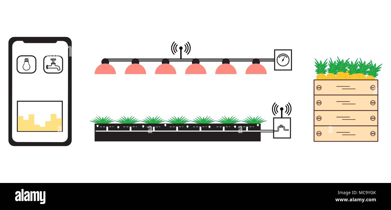 Smart farm et l'agriculture. La surveillance et le contrôle de température, humidité, niveau de luminosité. Culture des plantes. Les nouvelles technologies. Un rendement élevé. Illustration de Vecteur