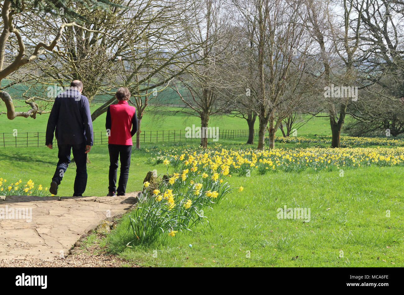 Ascott, Buckinghamshire, 14 avril 2018. Météo France : Les visiteurs apprécient les jonquilles et fleurs de printemps à l'Ascott, nr Wing, España le samedi 14 avril 2018 Photo de Keith Mayhew Banque D'Images