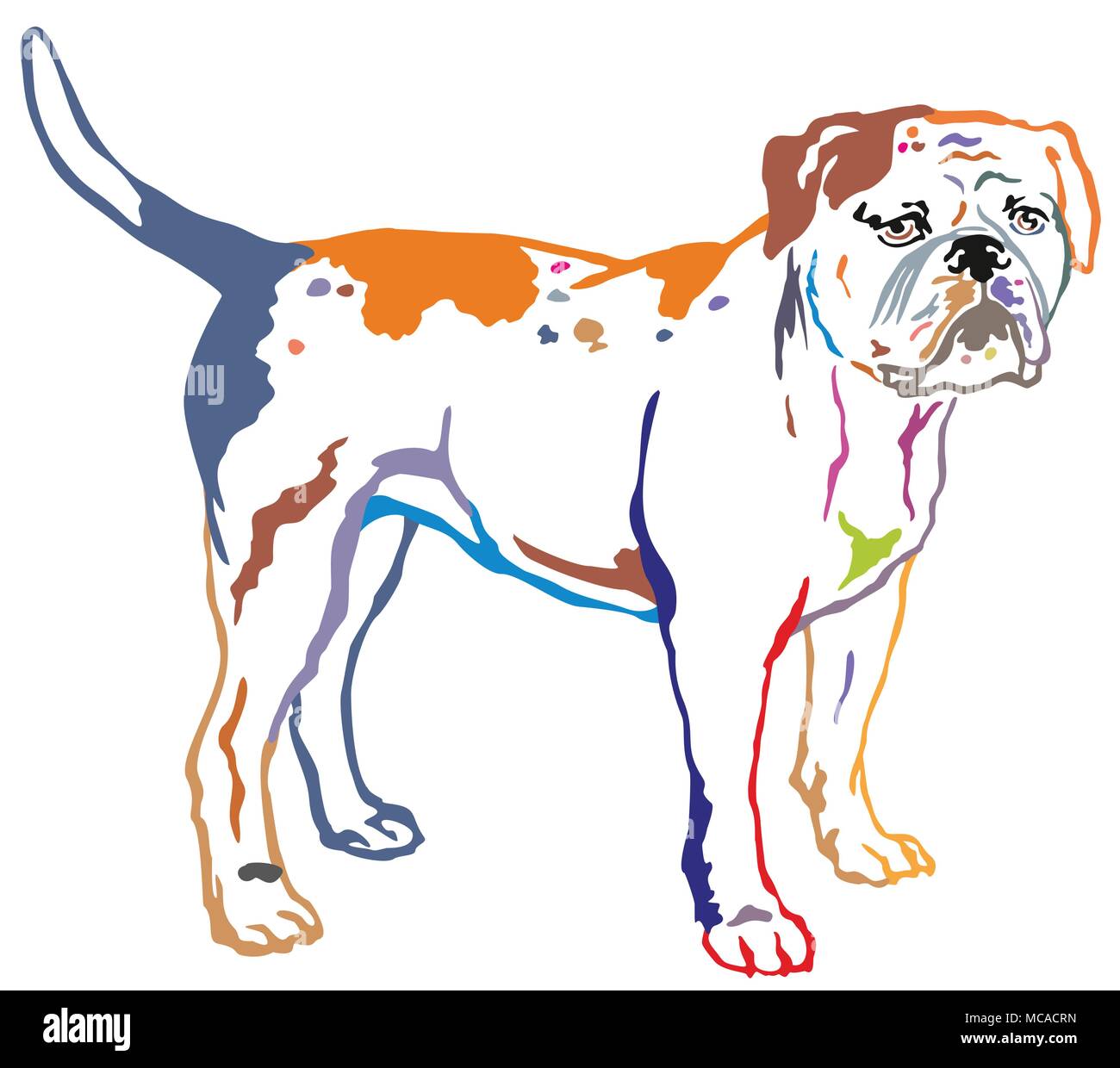 Contour coloré de l'article portrait de décoration en profil American Bulldog, vector illustration isolé sur fond blanc Illustration de Vecteur