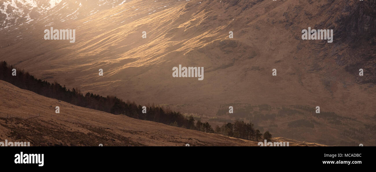 La lumière du soleil tombant sur le flanc d'une montagne écossaise avec une forêt de pins en pente en diagonale dans le milieu sol Banque D'Images