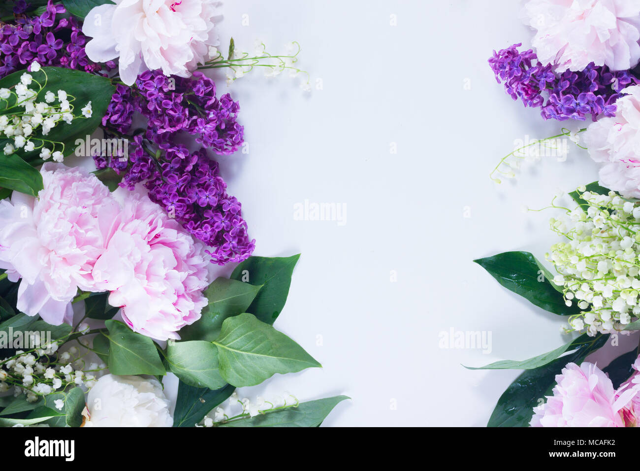 Lilas, pivoines et roses Lilly de la pr. Banque D'Images