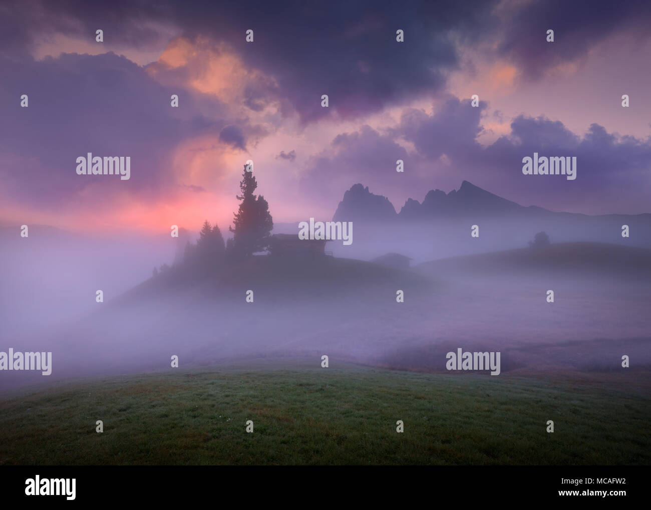Belle vue sur la mer de brouillard à l'aube. Photo de paysage sur l'Alpe di Siusi ou Alpe di Siusi - gamme de montagne Dolomites, Italie. Banque D'Images