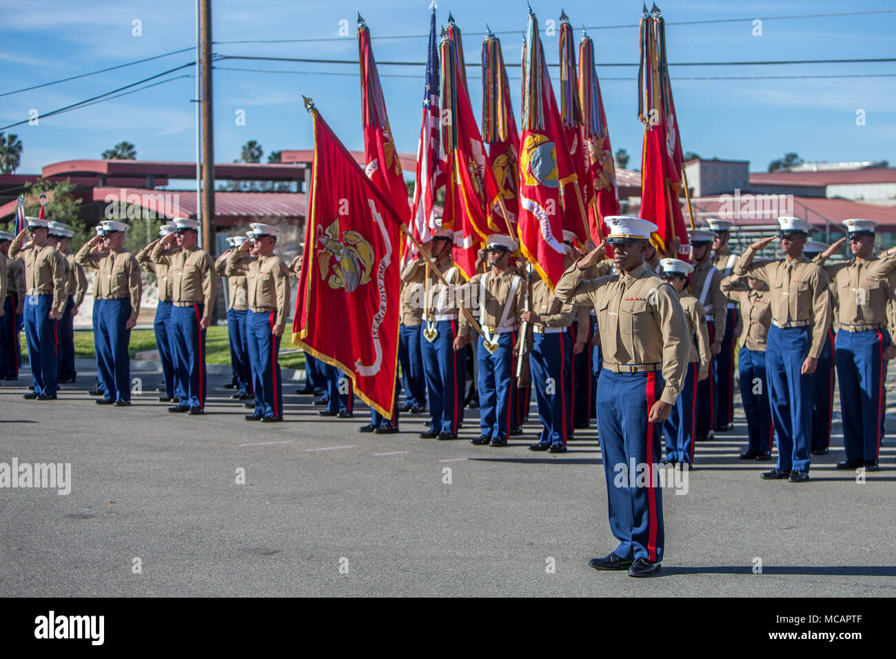 Le Major Du Corps Des Marines Am ricain Kendrick Gaines Un Officier D le-major-du-corps-des-marines-am-ricain-kendrick-gaines-un-officier-d