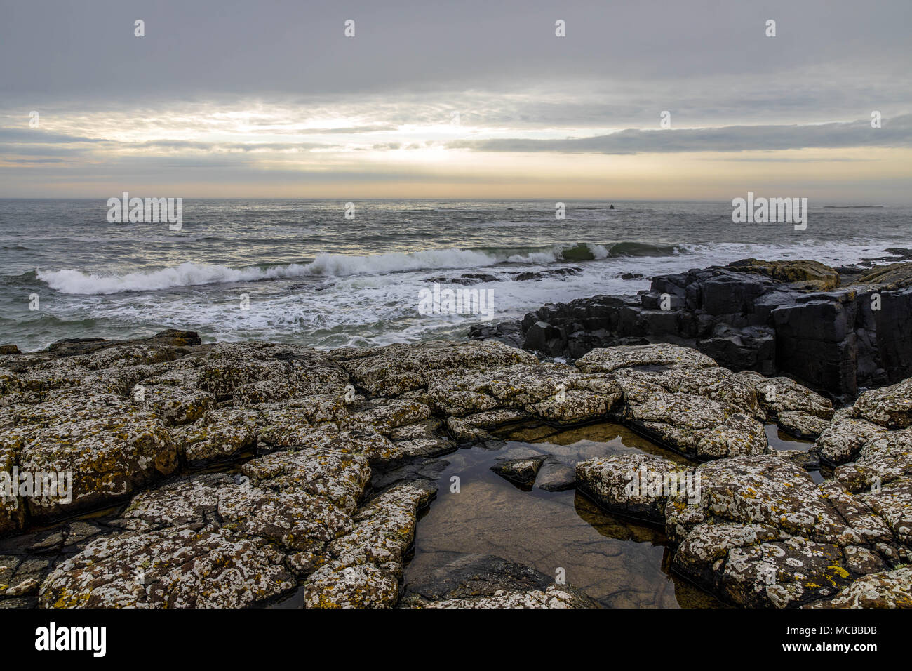 Une vue de la côte au Craster, Northumberland, Avril 2018 Banque D'Images