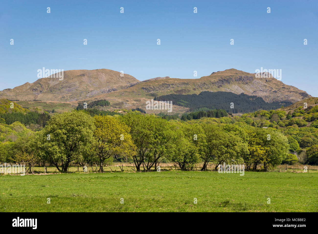 Montagnes de Snowdonia National Park sur une journée de printemps ensoleillée. Vue depuis près de Garreg, au nord du Pays de Galles, Royaume-Uni. Banque D'Images