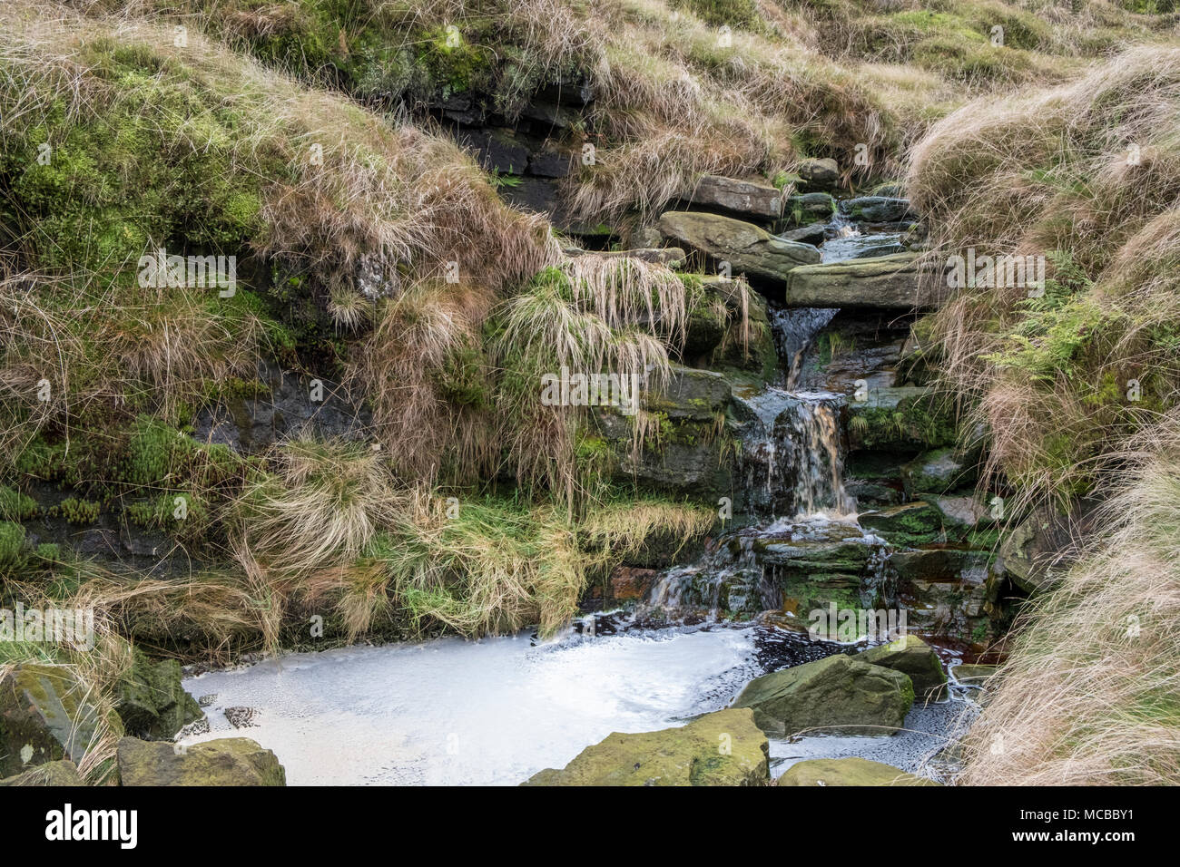 Un ruisseau coulant sur la pierre meulière rochers d'une petite cascade sur la lande, Kinder Scout, Derbyshire Peak District, England, UK Banque D'Images