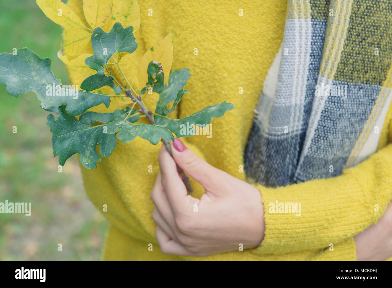 Fille en pull jaune holding twig Banque D'Images