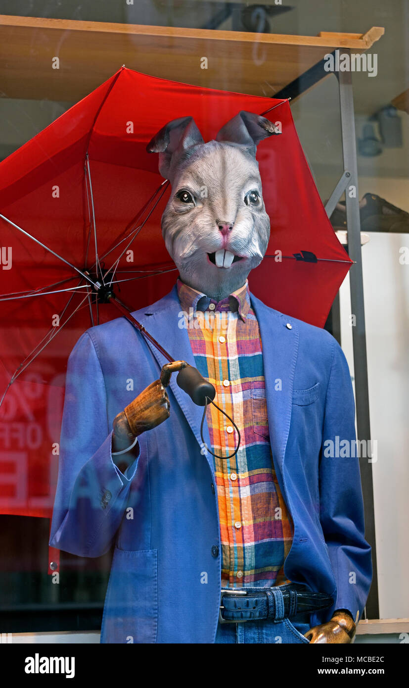 Lapin de Pâques" vitrine mannequin. Magasin de vêtements pour homme Jules  B, rue Finkle, Kendal, Cumbria, Angleterre, Royaume-Uni, Europe Photo Stock  - Alamy