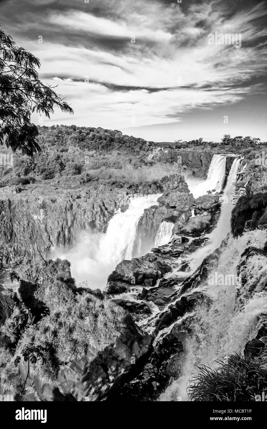 Du côté Argentin du Parc National de l'Iguazu Banque D'Images