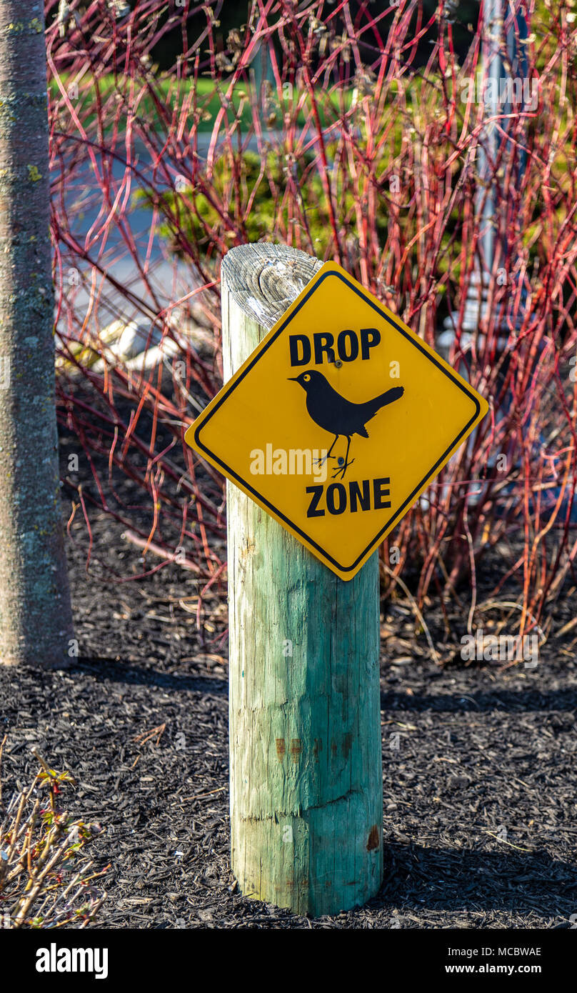 Une zone de chute excessive de avertissement signe la fiente des oiseaux dans les environs immédiats. Banque D'Images Une zone de chute excessive de avertissement signe la fiente des oiseaux dans les environs immédiats. Banque D'Images