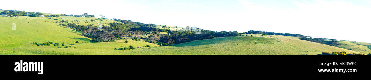 Une vue panoramique de collines verdoyantes à Penneshaw, Kangaroo Island en Australie du Sud, Australie. Banque D'Images