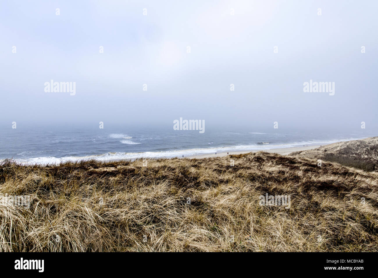 Sylt (Allemagne) : la mer, surf et des dunes ; Dünen und Strand auf Sylt Banque D'Images