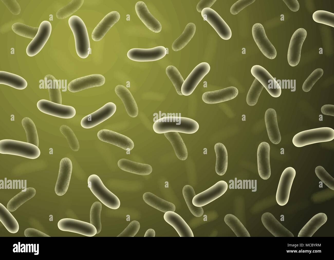 Des détails réalistes les cellules des bactéries avec arrière-plan flou vert - vector illustration pour la science médicale Illustration de Vecteur