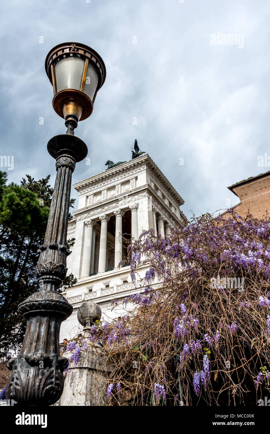 Jusqu'à des étapes de la colline du Capitole, Rome, avec lampe noire poster en face de Vittorio Emanuele II, colonnes et des fleurs au printemps glycine en fleurs. Banque D'Images