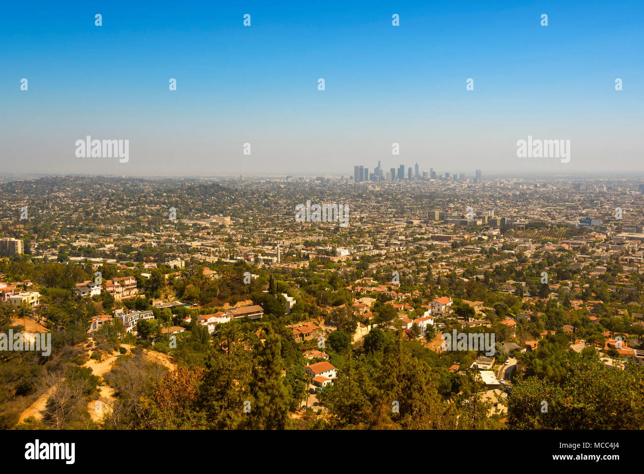 Los Angeles, Californie, vu de Hollywood Hills sur une journée ensoleillée. Banque D'Images