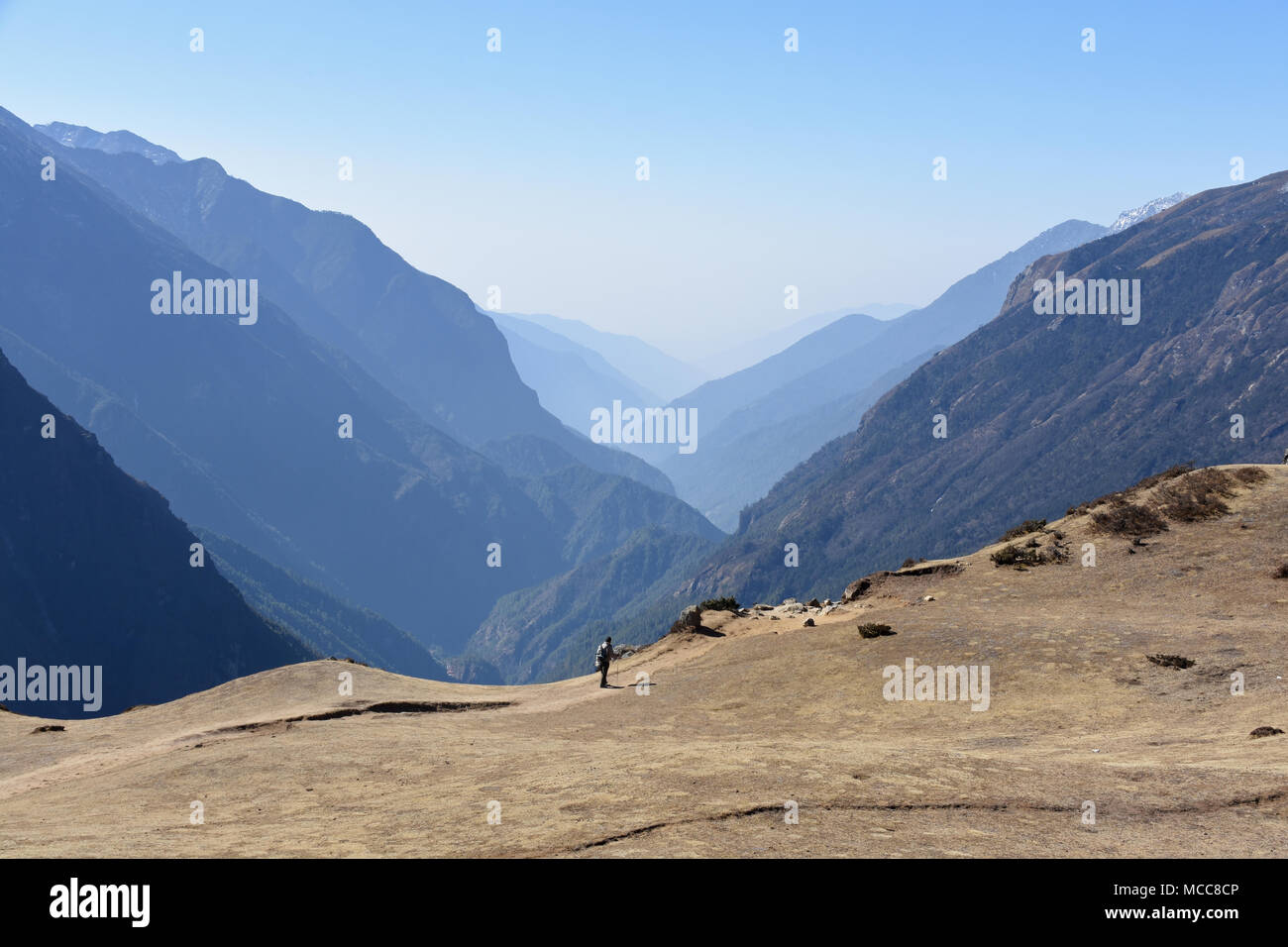 Trekker solitaire dans Parc national de Sagarmatha (Népal) Banque D'Images