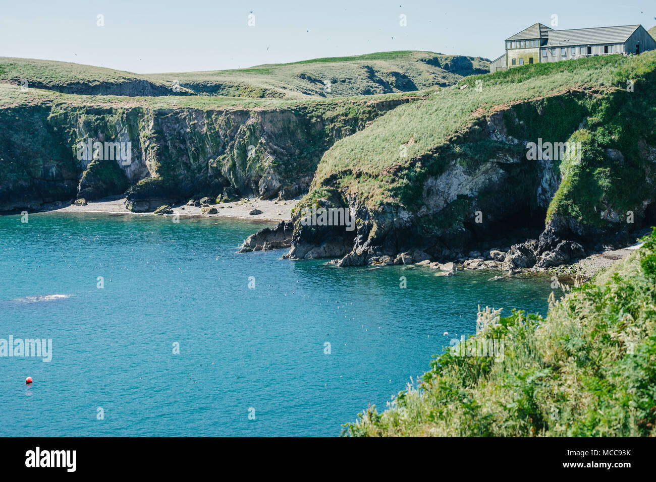 Vue de la Chambre sur les gardes de Skomer Island West Pembrokeshire Wales UK Banque D'Images