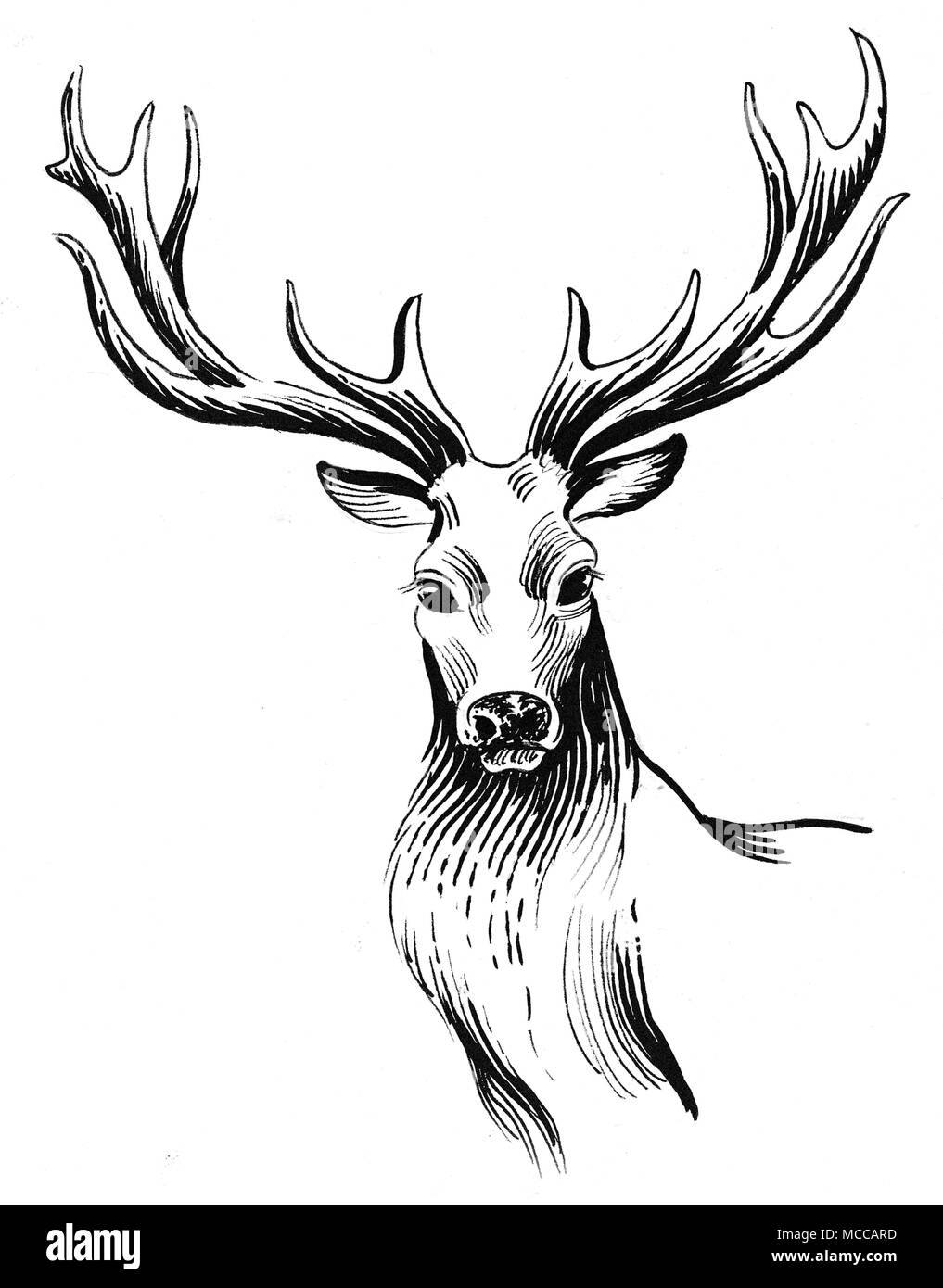 Dessin Tete De Cerf Noir Et Blanc