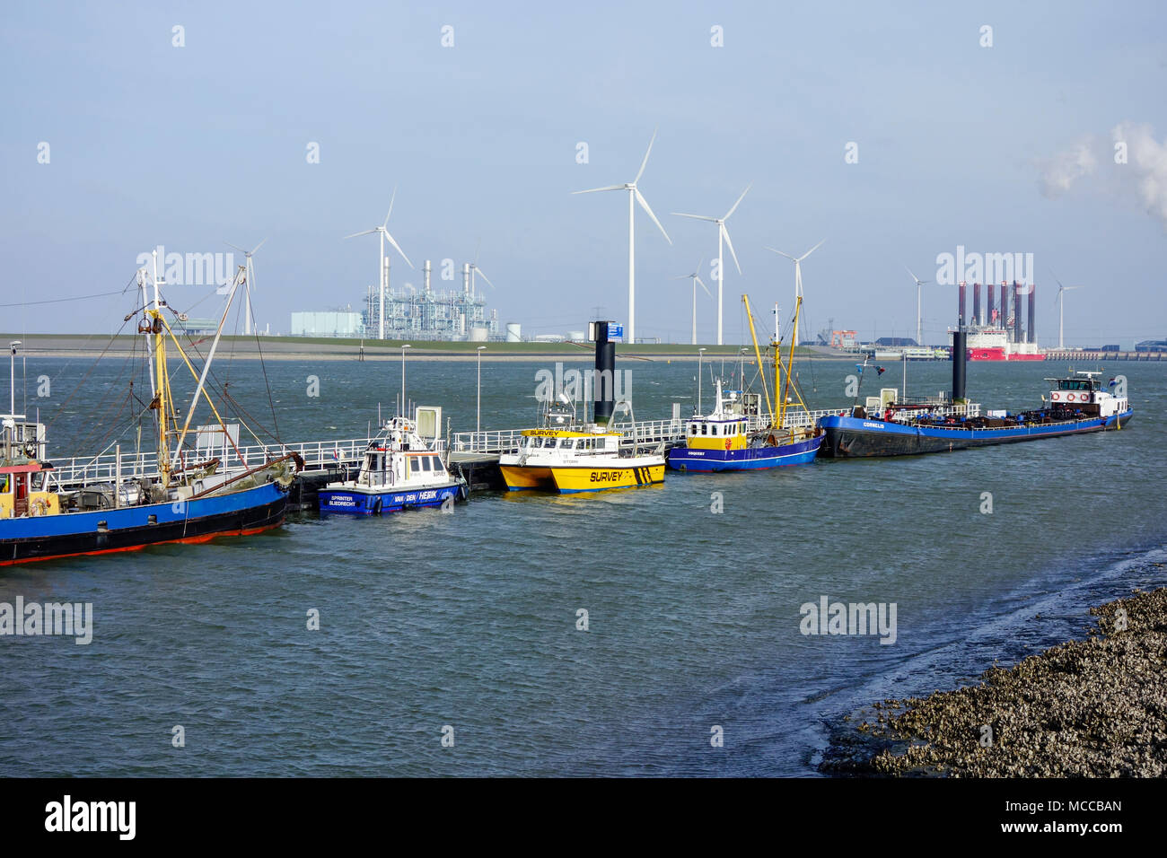 Westereems wind farm, Eemshaven, Pays-Bas Banque D'Images