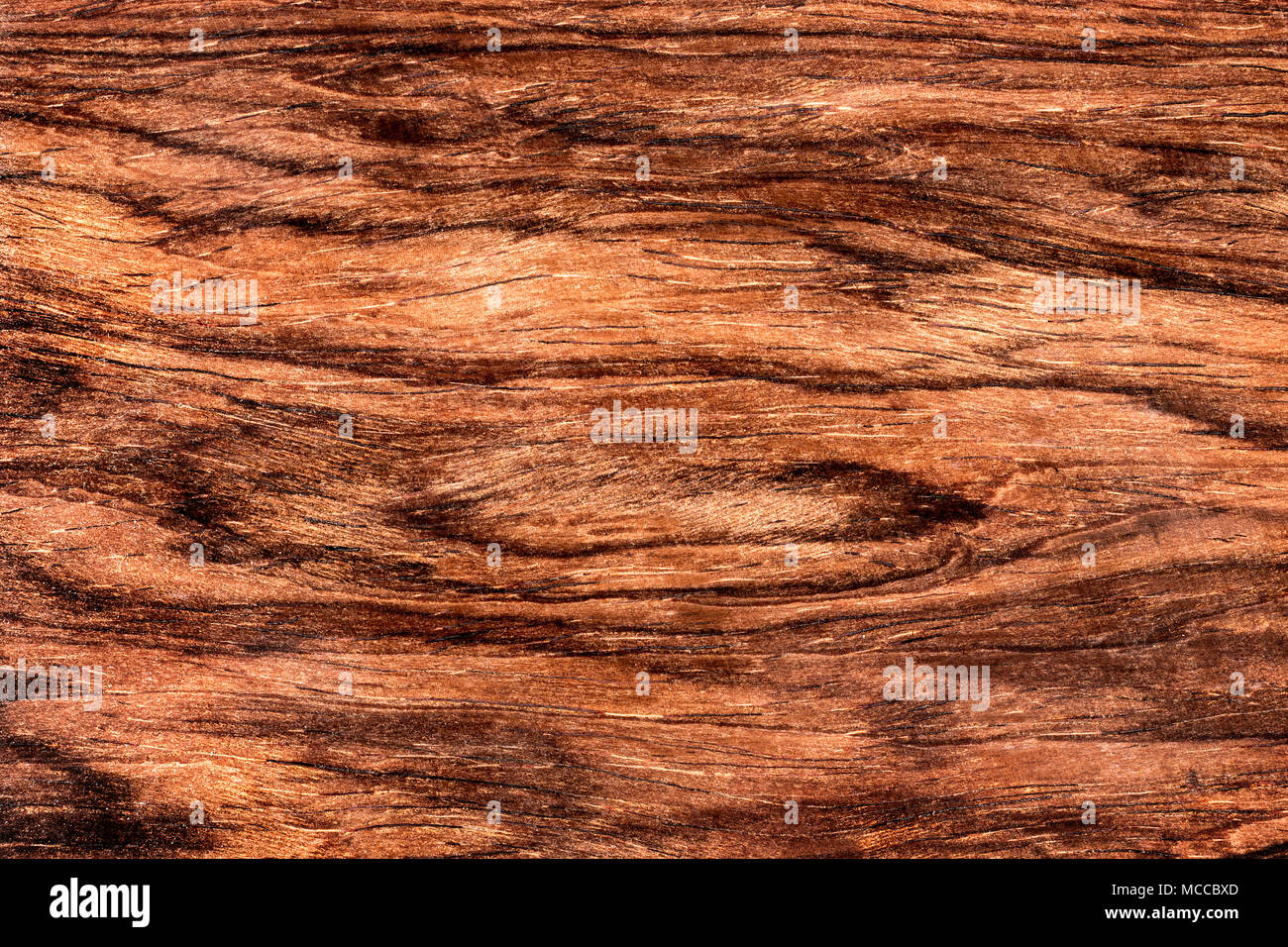 La texture du bois tropical cocobolo Banque D'Images