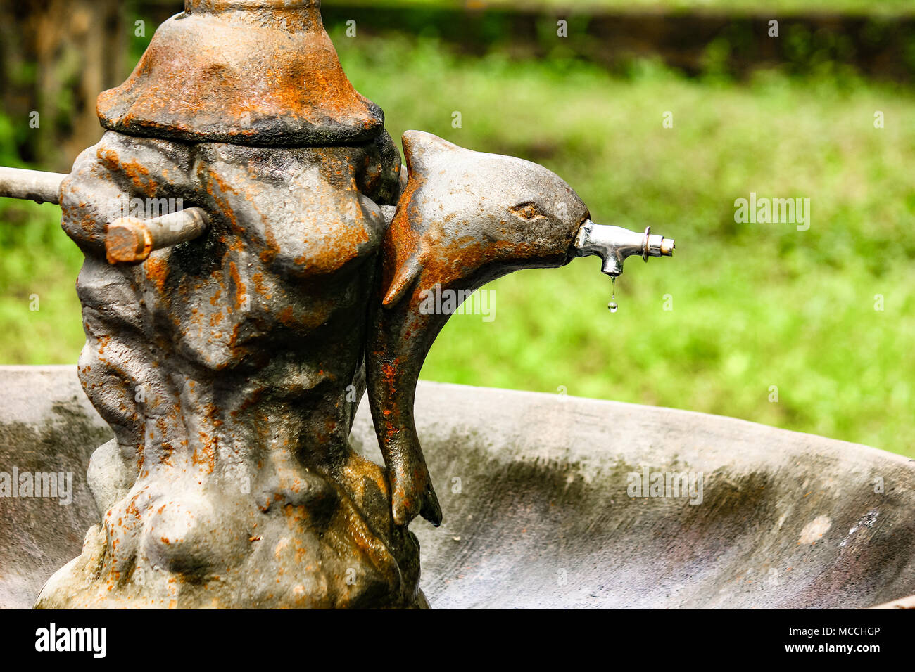 Ancien robinet dauphin avec une goutte d'eau tombant montrant de l'eau crise d'économiser de l'eau. Banque D'Images