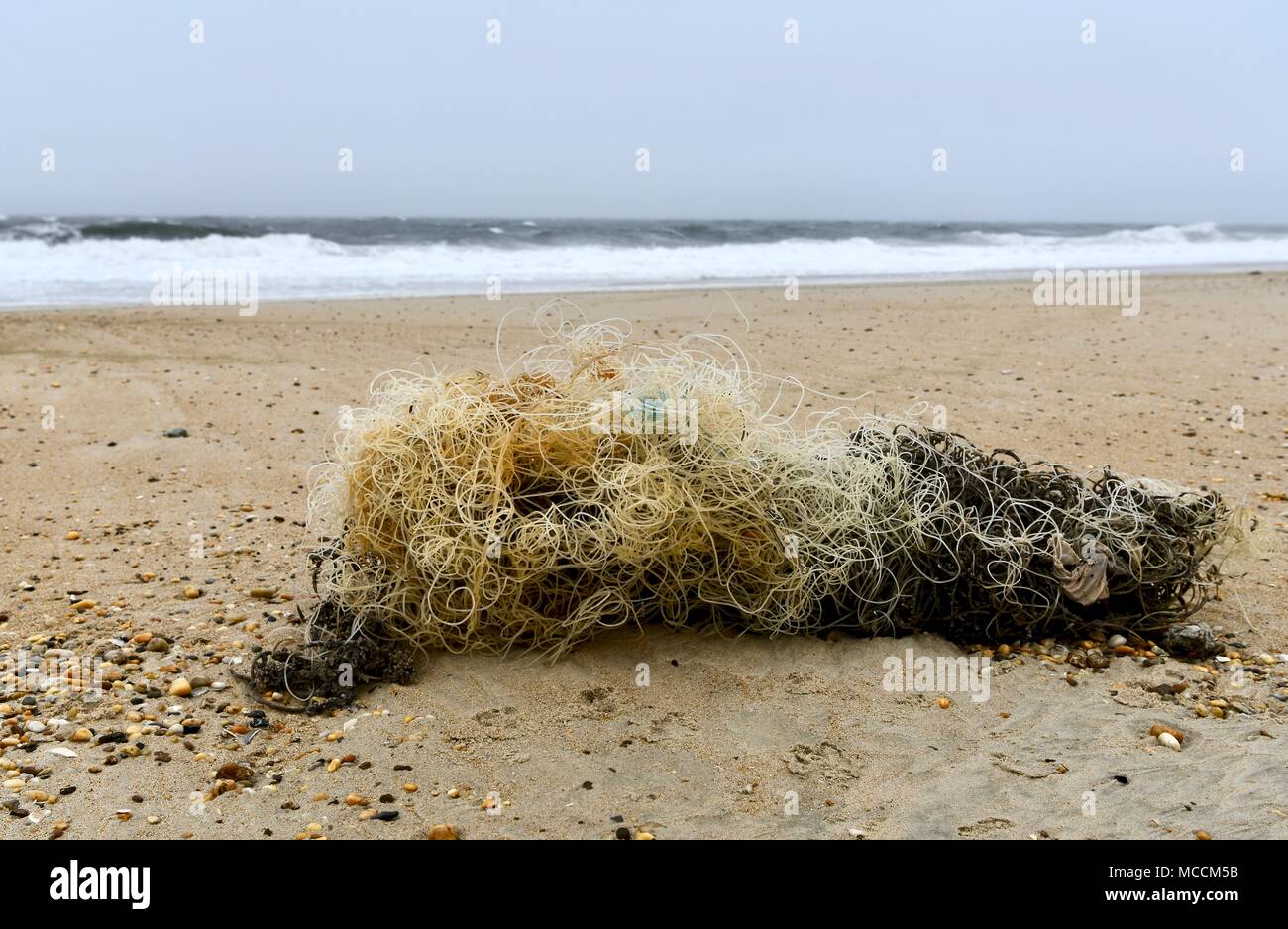 Gros tas de ligne de pêche échoués sur le rivage d'une plage éloignée à Cape Henlopen State Park, California, USA Banque D'Images