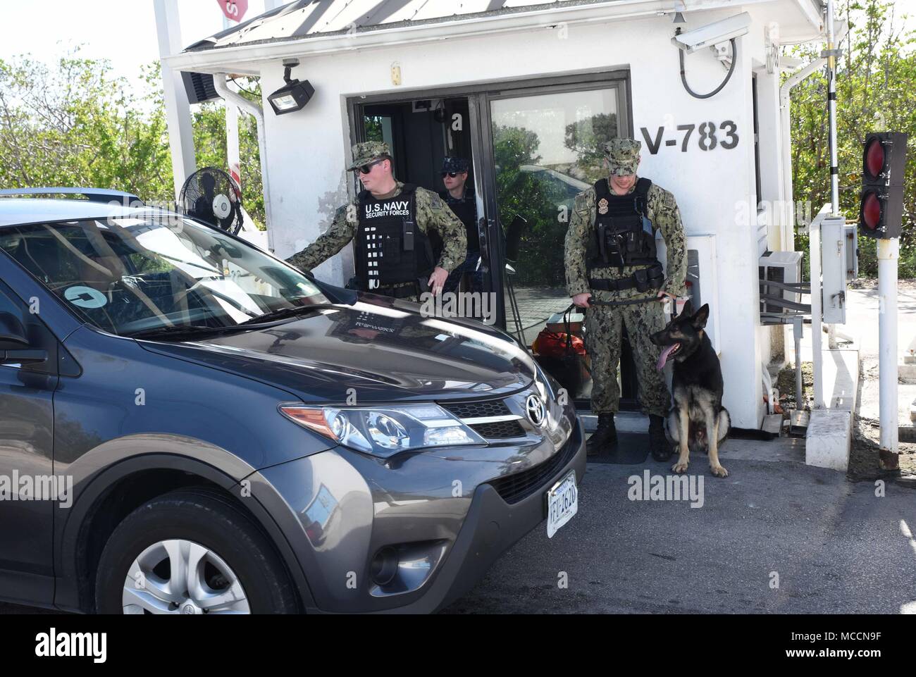 180207-N-SX614-016 KEY WEST, Floride (fév. 7, 2018) maître d'armes Seaman Vincent Mizzoni et chien de travail militaire Benga stand by d'inspecter les véhicules en tant que maître d'armes Seaman Brandon Paro vérifie une identification du conducteur au Naval Air Station Key West's in Sigsbee Park gate 7 février. L'inspection du véhicule mesure antiterroriste aléatoire a été réalisée dans le cadre de l'exercice Citadel Shield-Solid Rideau. Rideau est un Shield-Solid citadelle Marine annuel de lutte contre le terrorisme à l'échelle de l'exercice de la protection de la force visant à former et évalue les forces de sécurité de la Marine en réponse à des menaces sur des installations et des unités. Nous clé NAS Banque D'Images