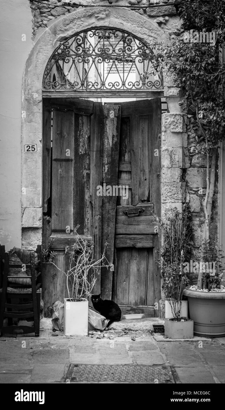 Détente chat contre la porte d'entrée endommagée Banque D'Images