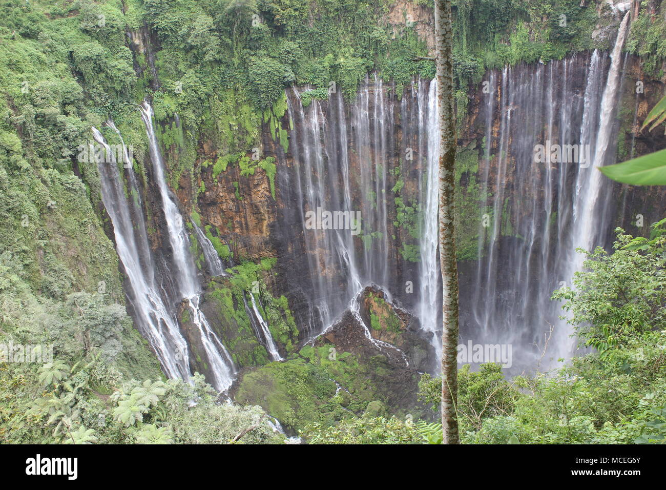 La chute d'eau Tumpak Sewu est située à Lumajang Malang, dans l'est de Java, en Indonésie. Elle est semblable aux chutes Niagara Banque D'Images