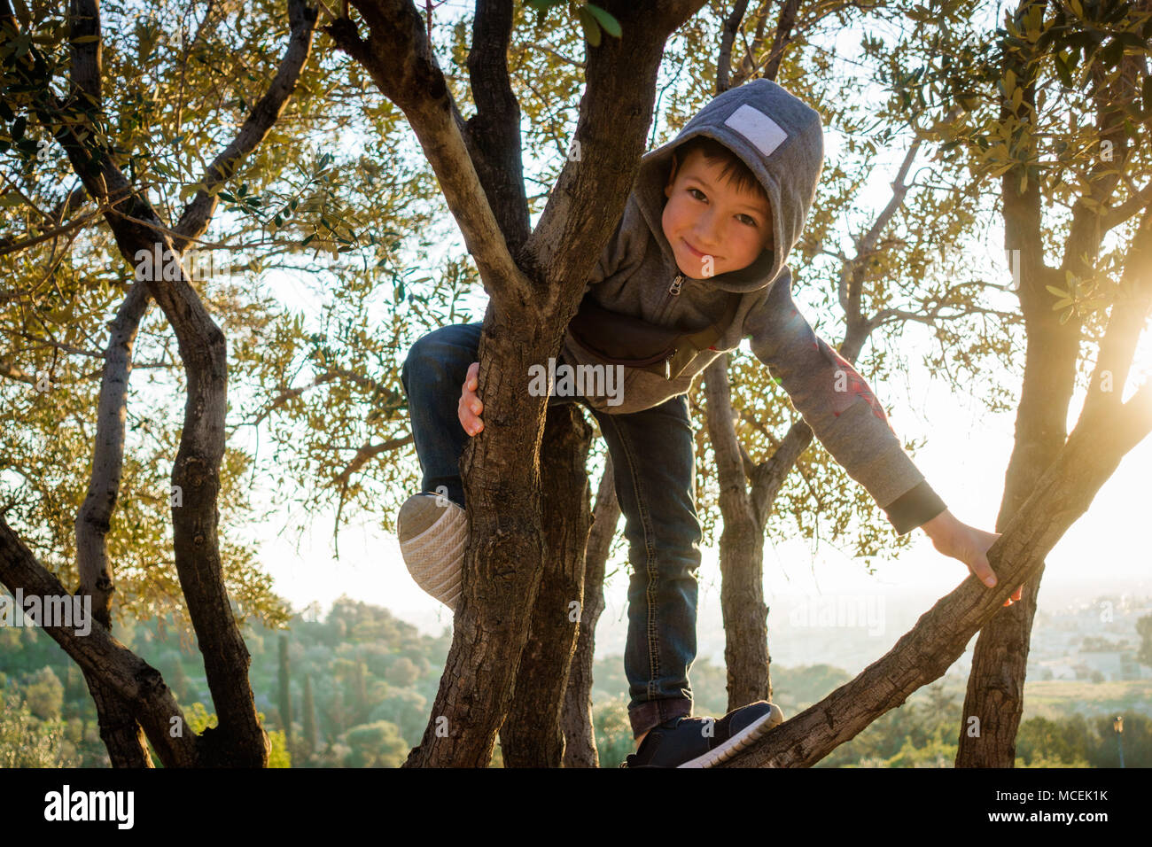 Petit garçon escalade sur arbre, Athènes, Grèce Banque D'Images