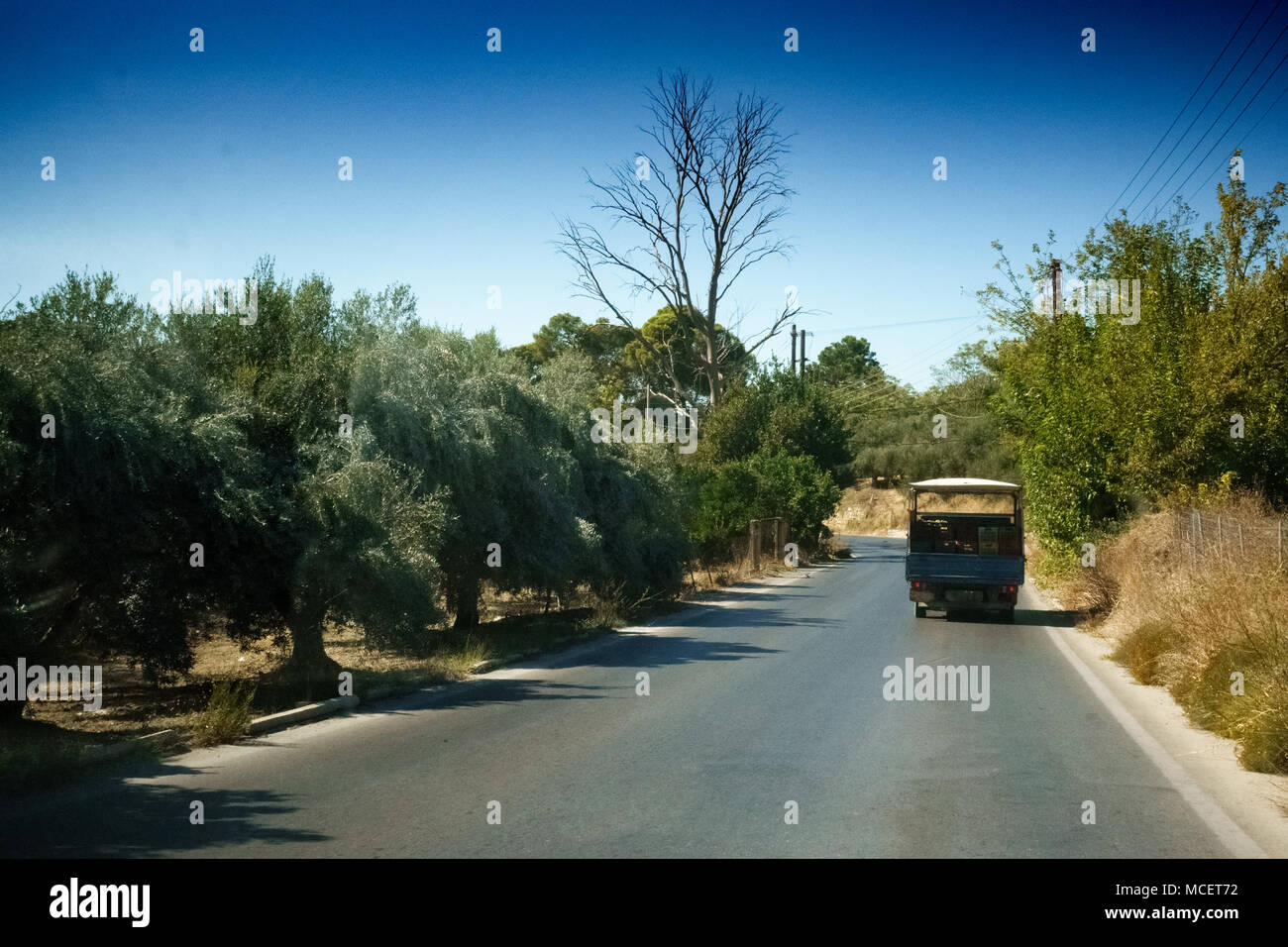 Chariot en marche sur route de campagne le long de la forêt, Heraklion, Grèce Banque D'Images