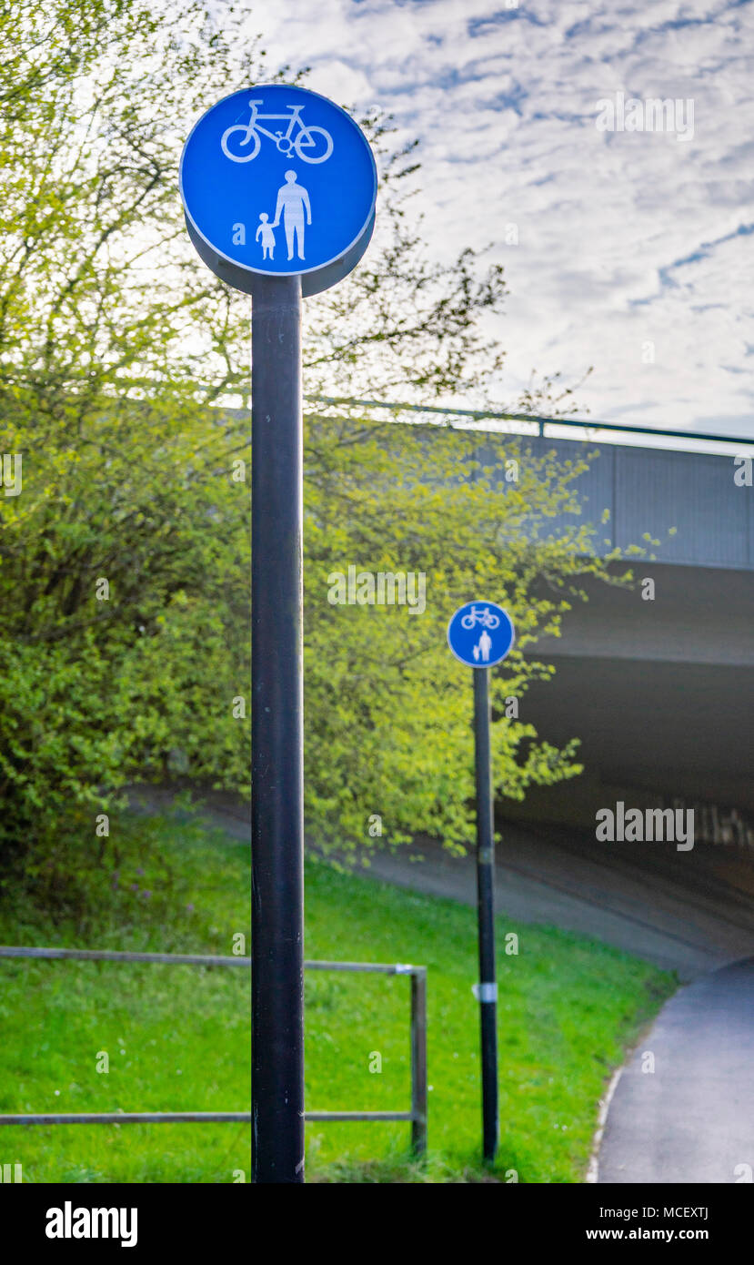 Panneau bleu pour indiquer l'utilisation partagée, cycle non séparées et parcours pédestre en Angleterre, Royaume-Uni Banque D'Images