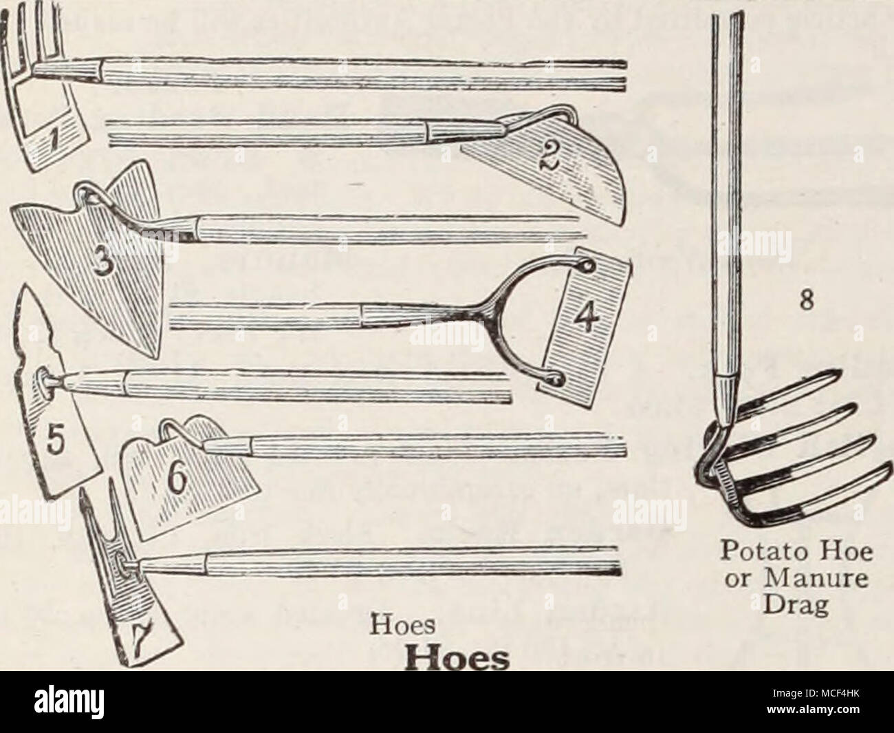 . Le râteau et Hoe (Fig. i), 4 dents 6 dents ; 1,00 $ 1,10 $. La demi-lune (Fig. 2) 4. 95c ; 5. 1,00 $ ; 6. 1,05 $ ; 7. 1,10 $. Warren Hoe (Fig. 3), pour le sarclage, fronçant, culture, etc. 7. 1,25 $ ; pelle à grains bébé, 4 lame 90c. en. Échauffourée Hoe (Fig. 4), Acier estampé, 4 in. 90c ; 6. $1.00. Échauffourée Hoe, en acier forgé, 4 in. 1,25 $ ; 6. 1,35 $. Houe désherbage (Fig. 5), point 1, 70c ; 2 points (Fig. 7), 75c. Bineuse carré (Fig. 6), 6. 1,00 $ ; 7. 1,05 $ ; 8. 1,10 $. Hoe de pommes de terre (Fig. 8), ou du fumier 4 dents, glisser, 1,50 $. Flexible, le caoutchouc. Chaque marque de tuyau de jardin proposés ci-dessous ont été choisis en raison de Banque D'Images