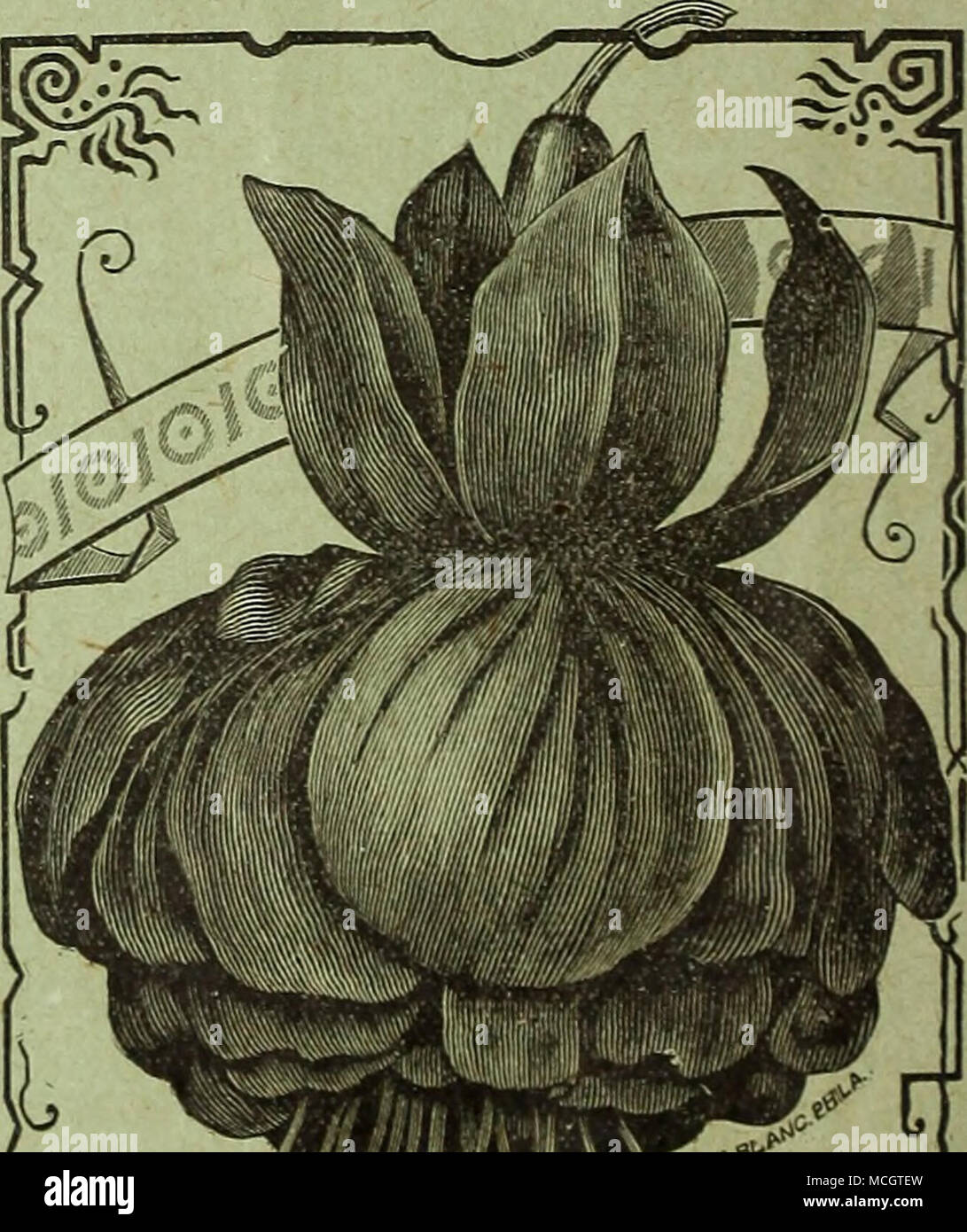 . .W///llfJ^X â Banque D'Images