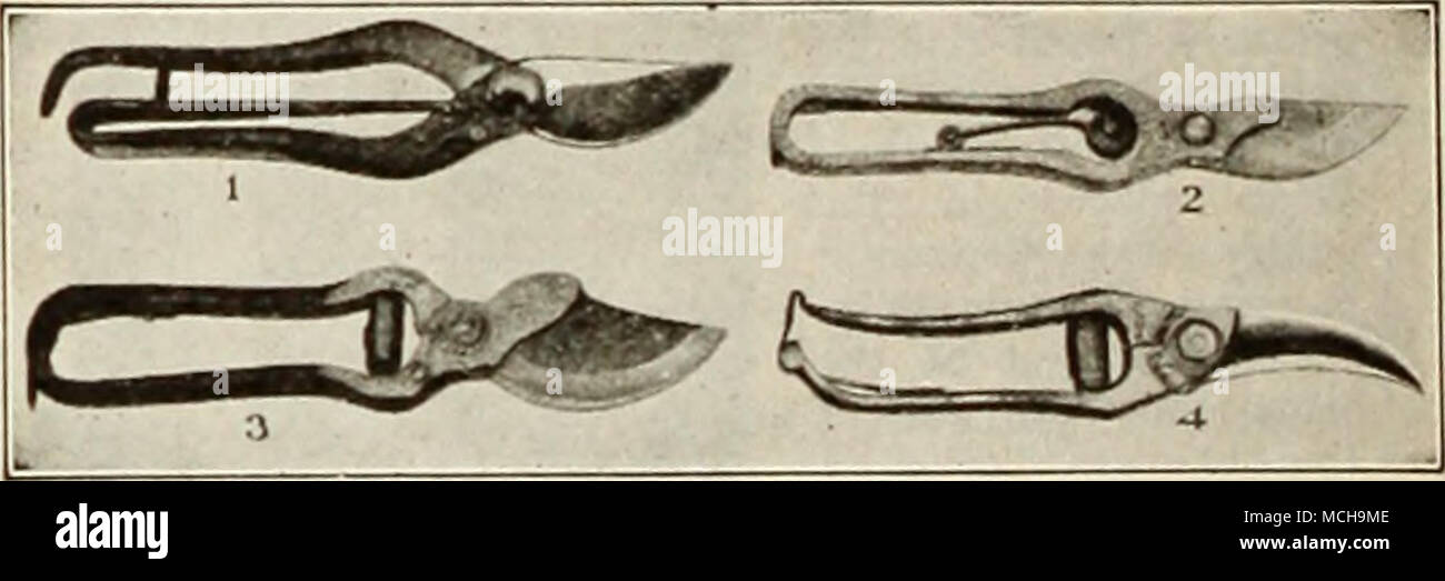 Cisaille Part D Emondage Dreer Ssperial La Qualite Premiere D Un Secateur 9 Pouces Dans Illuslrdtion No S2 00 P Istpaid La Perfection Les Lames Poignees Et Ressort Forges A Partir D Une Seule