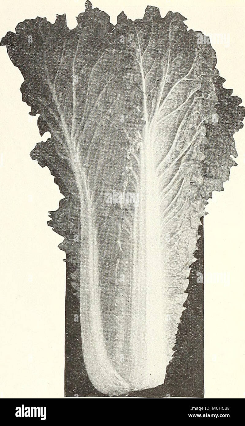 Pe Tsai Banque D Image Et Photos Alamy