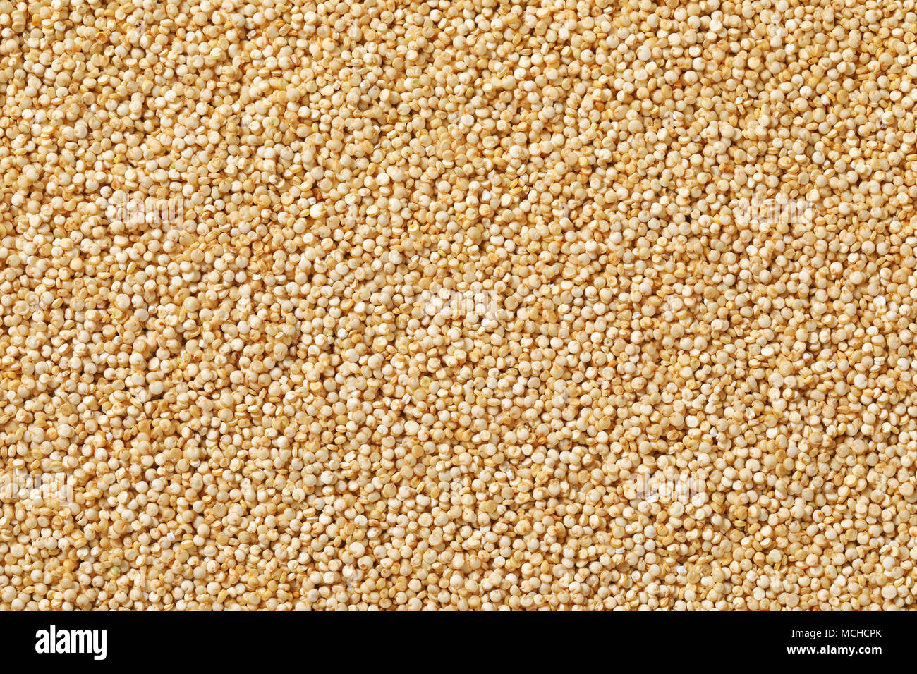 Les graines de quinoa blanc - fond full frame Banque D'Images