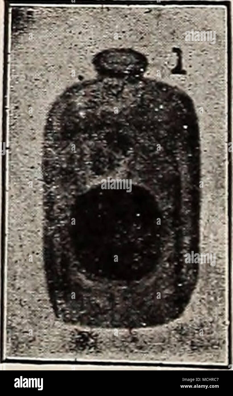 . Stonewakb la mort de Lambert source de poux. (En poudre.) 15 oz. package, 25 cts. ; 40 cts, postpaid. ; 3 lb., 50 cts. ; 100 oz. paquet, 1,00 $. Poux liquide Killer et désinfectant. Pour tuer toutes sortes de poux, acariens et la vermine ia les poulaillers. 1 qt, 35 cts. ; £ gal., 60 cts. ; 1 gal., 1 $. S'abattant d'un poinçon. Pour le marquage de jeunes et vieux poulets dans le site web du pied. Des services, 25 cts. Mica Crystal Grit. Pour faciliter la digestion, il est nécessaire de nourrir quelque matériau granuleux. Nous pouvons fournir ce dans deux classes, fine pour les poussins et les oiseaux, les oiseaux pour. Prix, 5 lb, 15 cts. ; 25 livres, 35 cts. ; 100 Banque D'Images