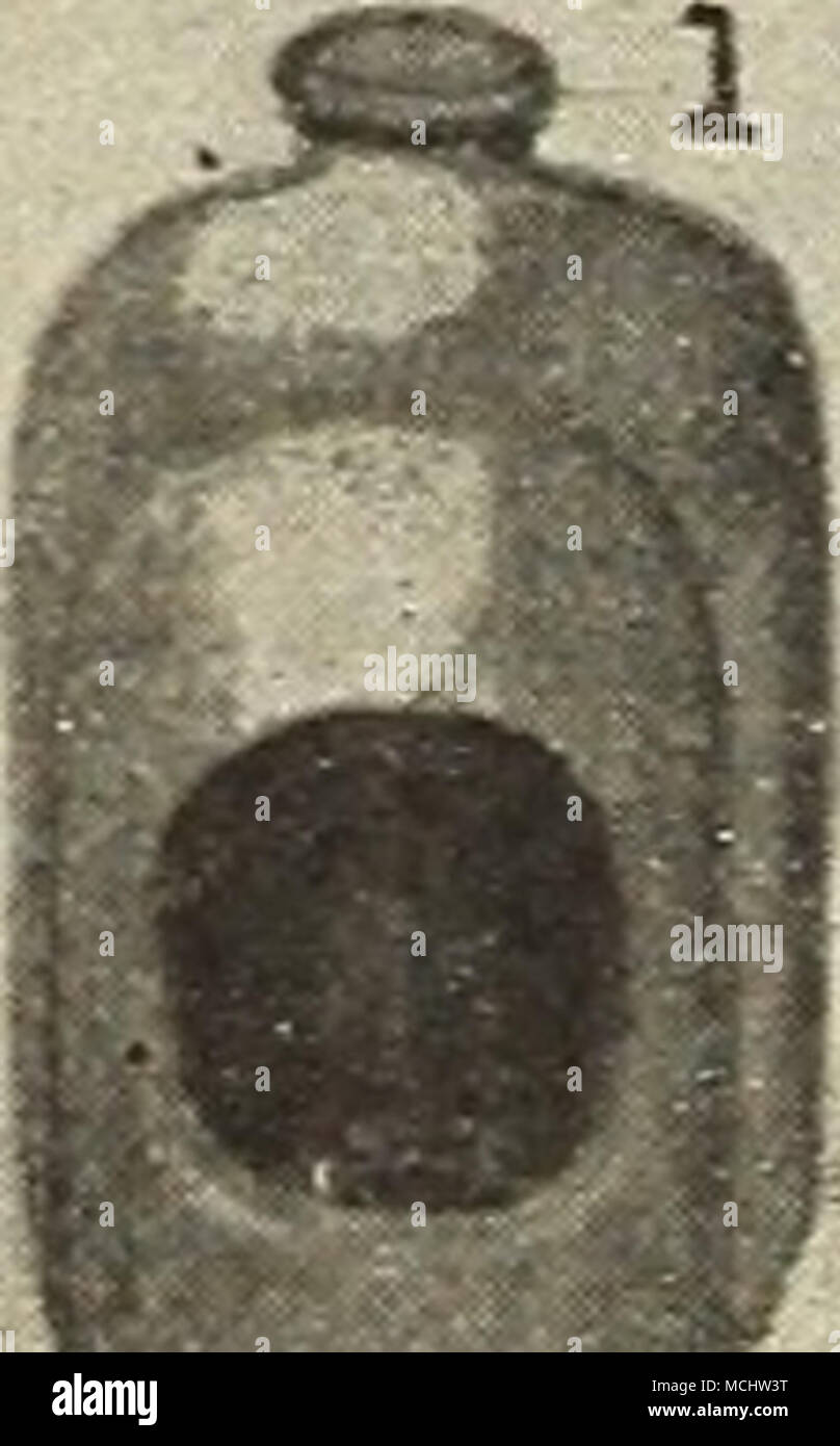 . Born de grès en bon état en tout temps. 26 oz. package, 25 cts., 60 oz., 50 cts. La mort de Lambert de poux. (En poudre.) 15 oz. package, 25 cts. ; 40 cts, postpaid. ; 3 lb., 50 cts. ; 100 oz. paquet, 1,00 $. Poux liquide Killer. Pour tuer toutes sortes de poux, acariens et la vermine dans les poulaillers. 1 qt, 35 cts. ; J gal., 60 cts. ; 1 gal., 1 $. Poinçon de marquage. Pour le marquage de jeunes et vieux poulets dans le site web du pied. Services postpayés. 25 cts. Les économies. Utilisé comme désinfecter- ant. Faite d'une composition de camphre de goudron. Chacun. 5 cts. ; par doz., 50 cts. Mica Crystal Grit. À Banque D'Images
