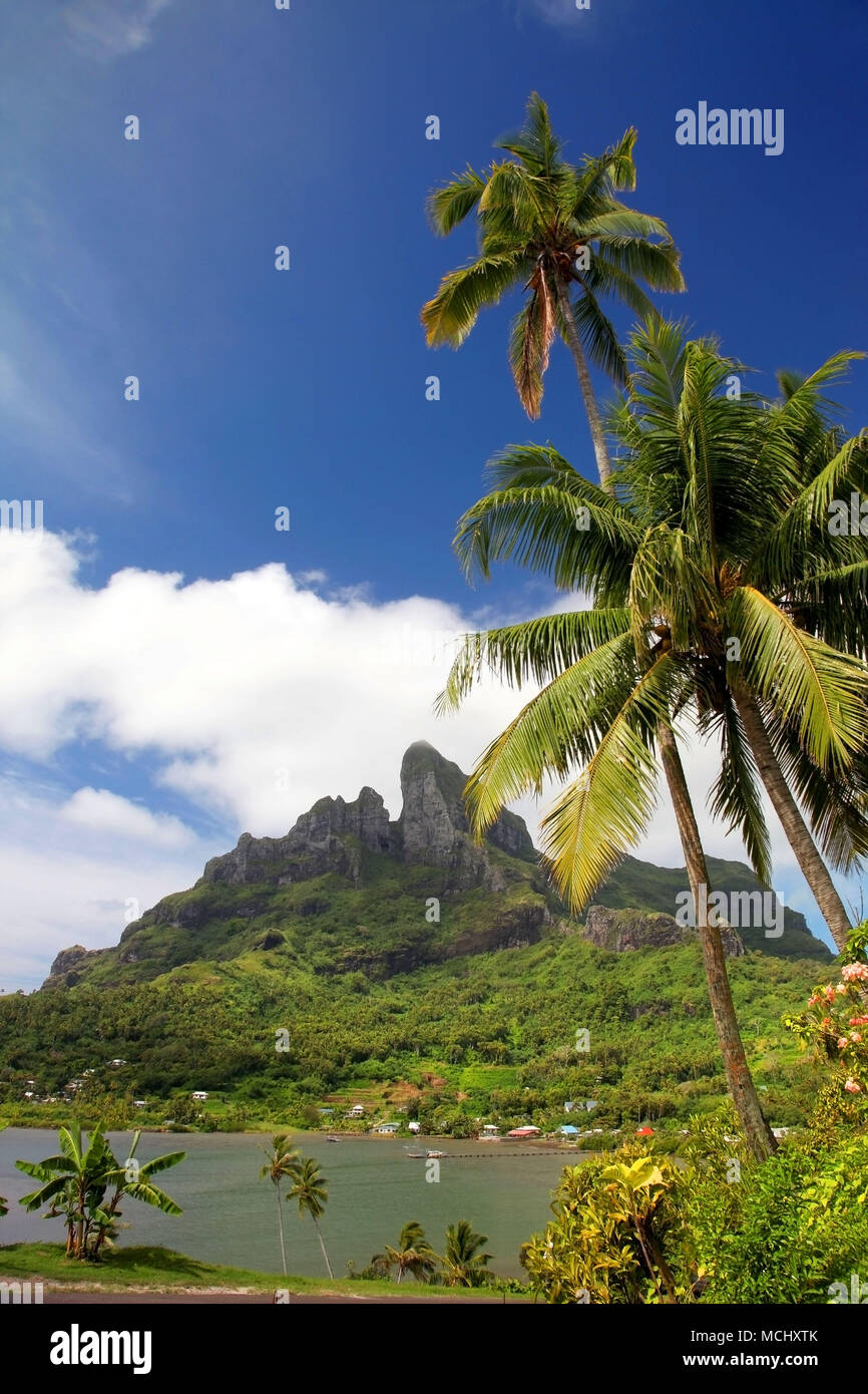 Le volcan du Mont, Otemnau avec de beaux paysage tropical luxuriant il surrnounding, Bora Bora, Polynésie française. Banque D'Images