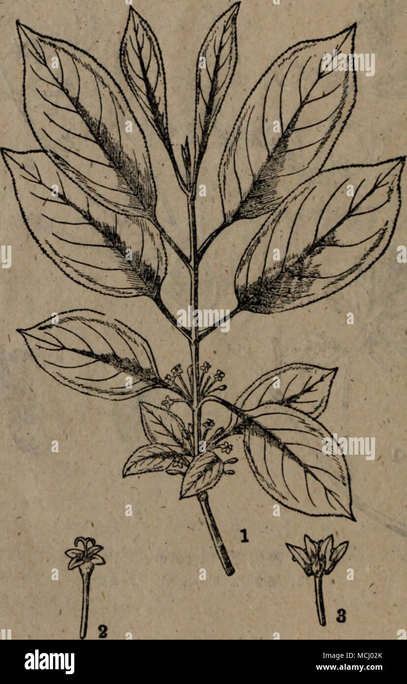 Aeai Banque D Image Et Photos Alamy