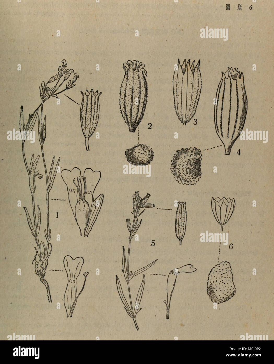 . C3 • Banque D'Images