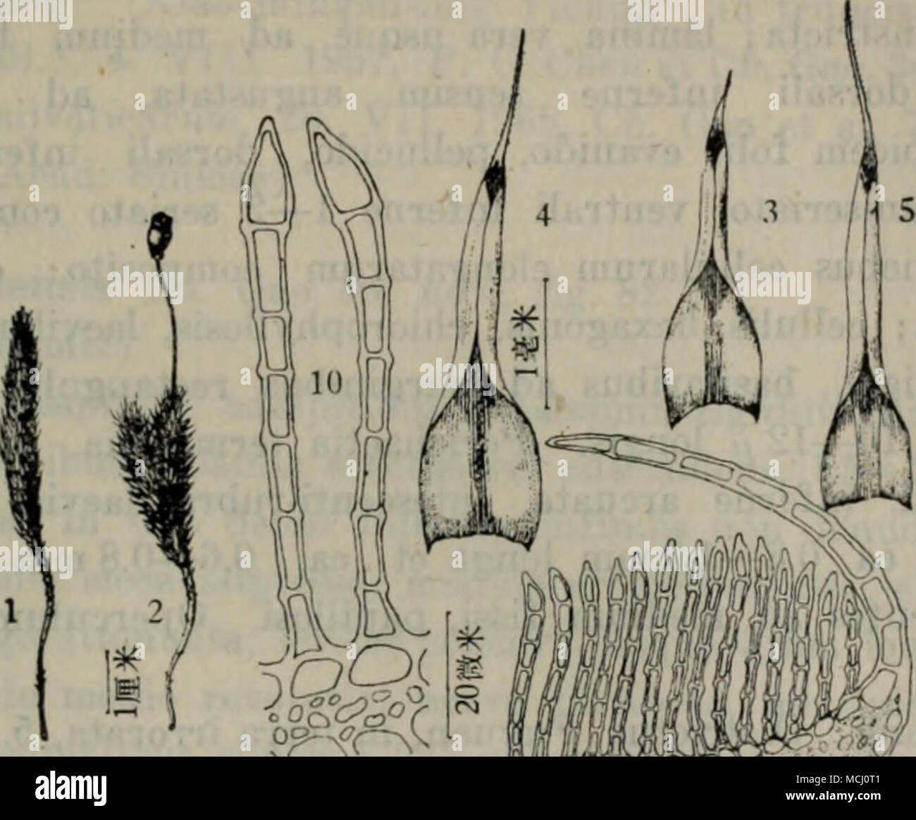 P 1 2 Ae C Aºa A I 3 C I 4 5 Ea 6 A ªae Cae Ca Ai E7 Caºe E C C A Ei Ca8 A E C C Ei E 9 Ae Ca E E Ccae10 Ae I Ii ªae Ec E E C C A E Ea Caºcº Ae Cac Ae Aº Aea Aee A Ae E A C Cac Aea I A A Aºe E A A c C E Acaaº Aºe E Ae